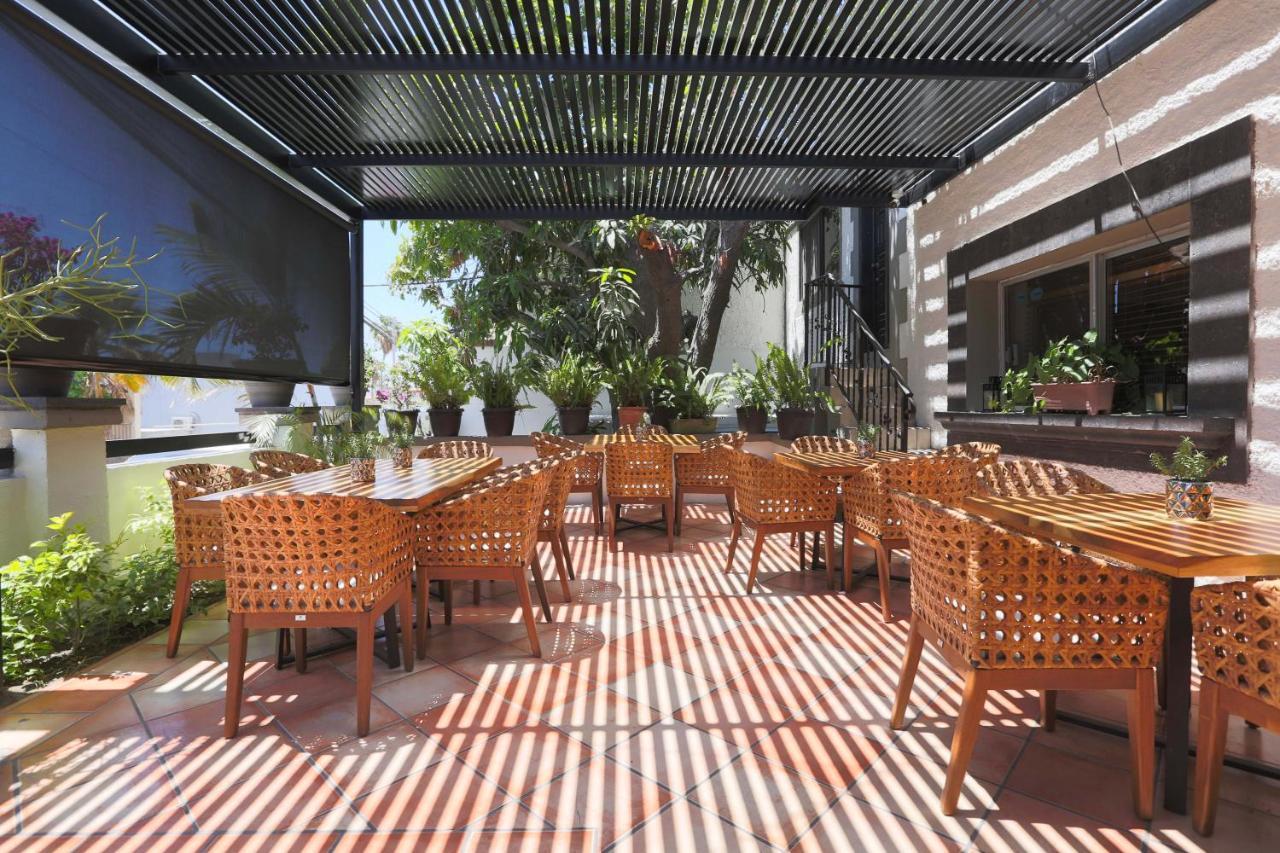 Hotel Posada Terranova San José del Cabo 외부 사진