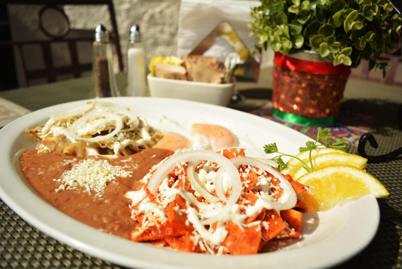 Hotel Posada Terranova San José del Cabo 외부 사진