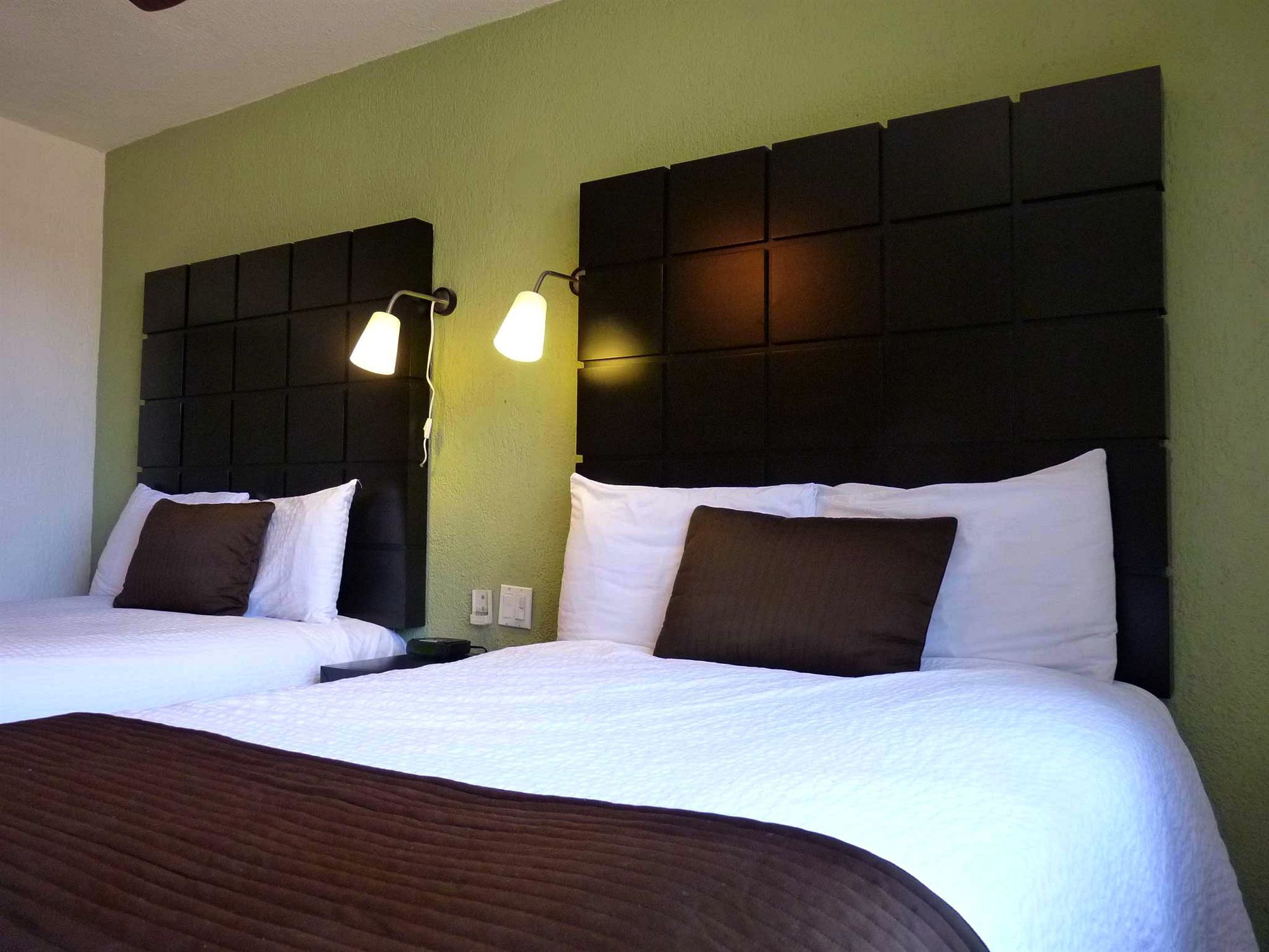 Hotel Posada Terranova San José del Cabo 외부 사진